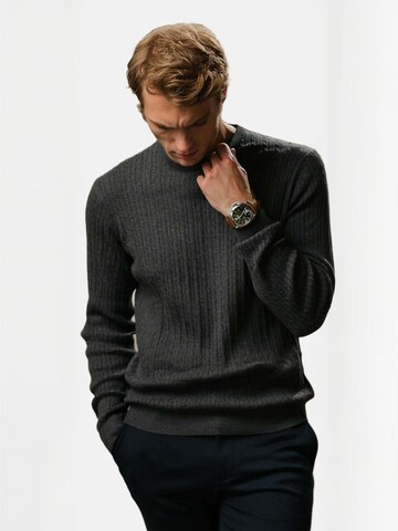 TEESHOPPEN Trui ' Pullover ' in Grijs