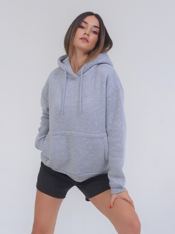 FRESHLIONS Sweatshirt ' Balina ' in Grey: front