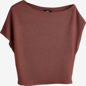 Pulover de la Next pe maro: față