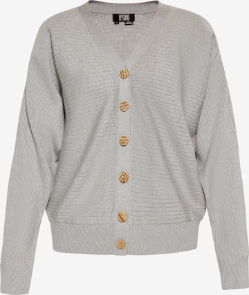 IPARO Knit Cardigan in Grey: front