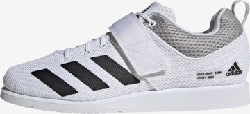 Chaussure de sport 'Powerlift 5' ADIDAS PERFORMANCE en blanc : devant