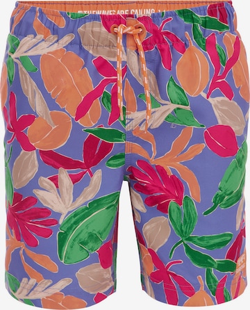 WE Fashion - Bermudas en Mezcla de colores: frente