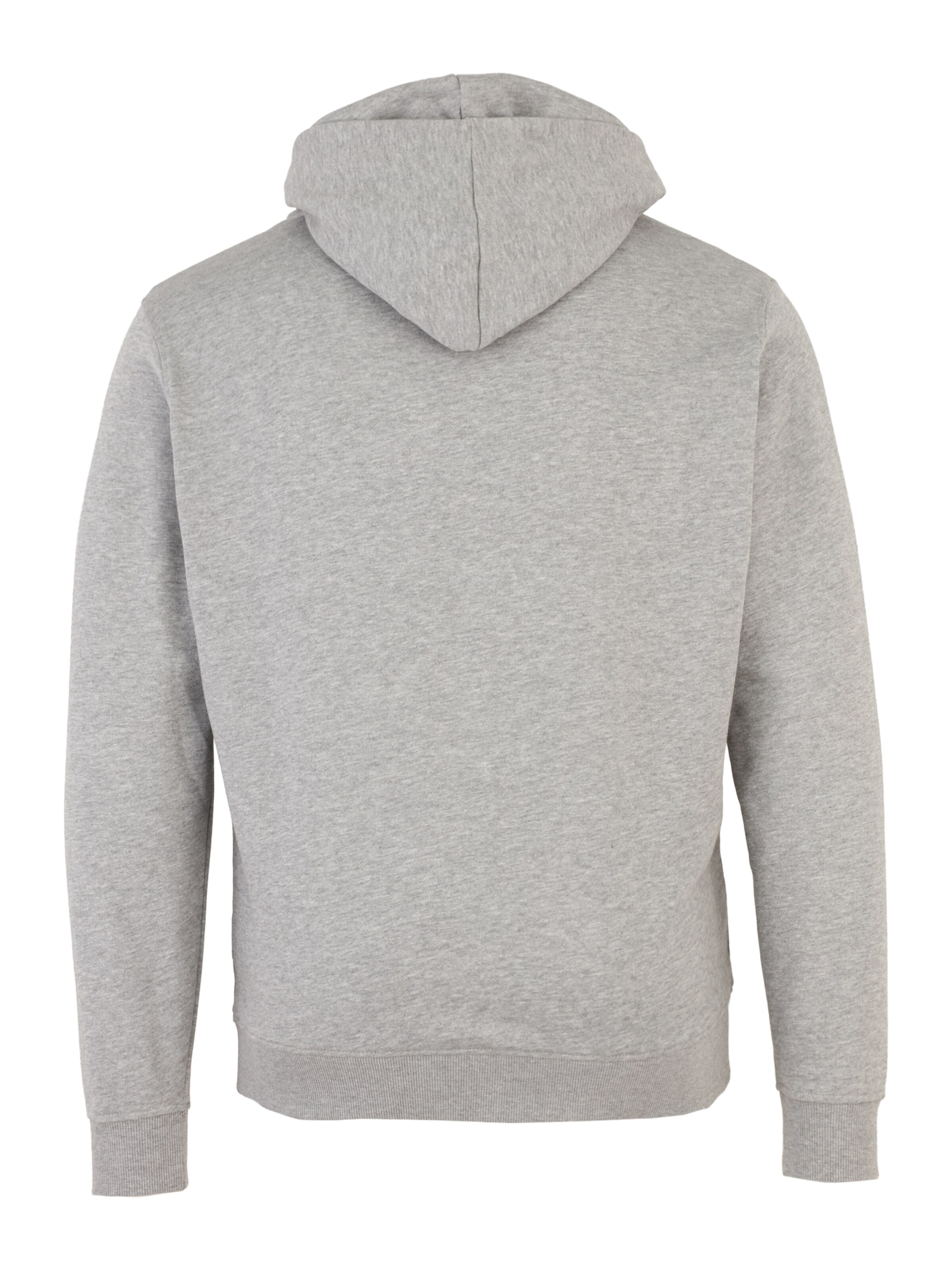 Pepe Jeans Dressipluus, värv hall: tagant vaates