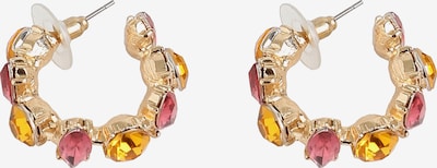 Auskarai iš SOHI, spalva – Auksas / mišrios spalvos, Prekių apžvalga