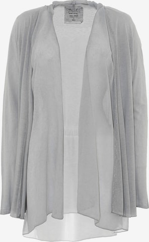 Daily’s Blazer in Grau: predná strana