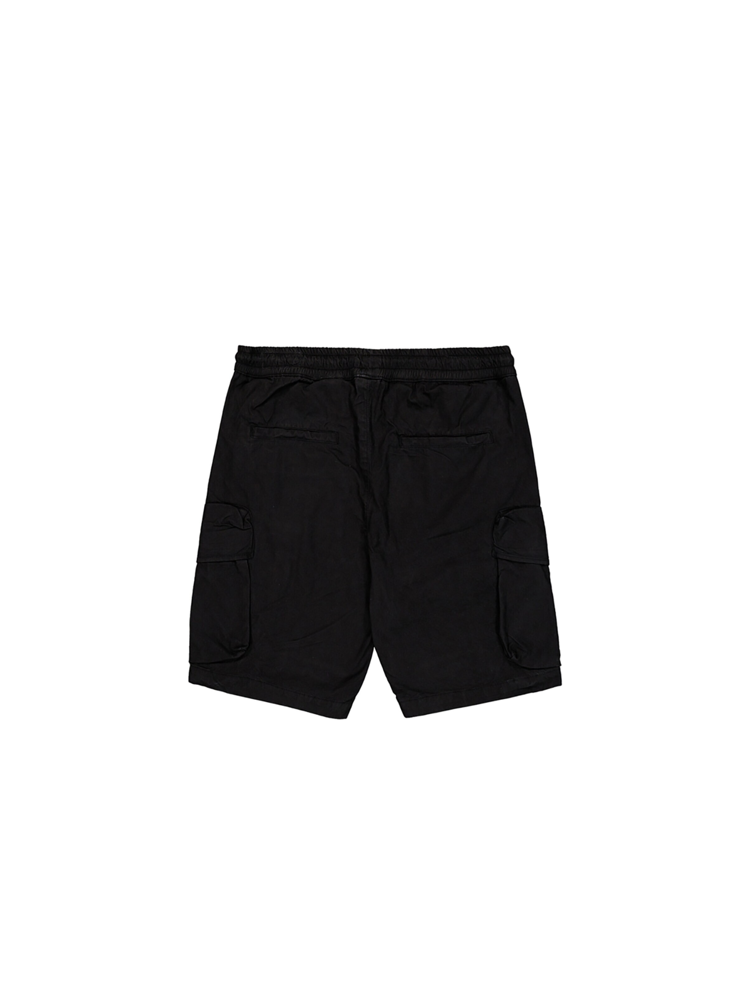 ALPHA INDUSTRIES Regular Hose 'Division'‌‌‌‌‌‌‌‌‌‌ in Schwarz