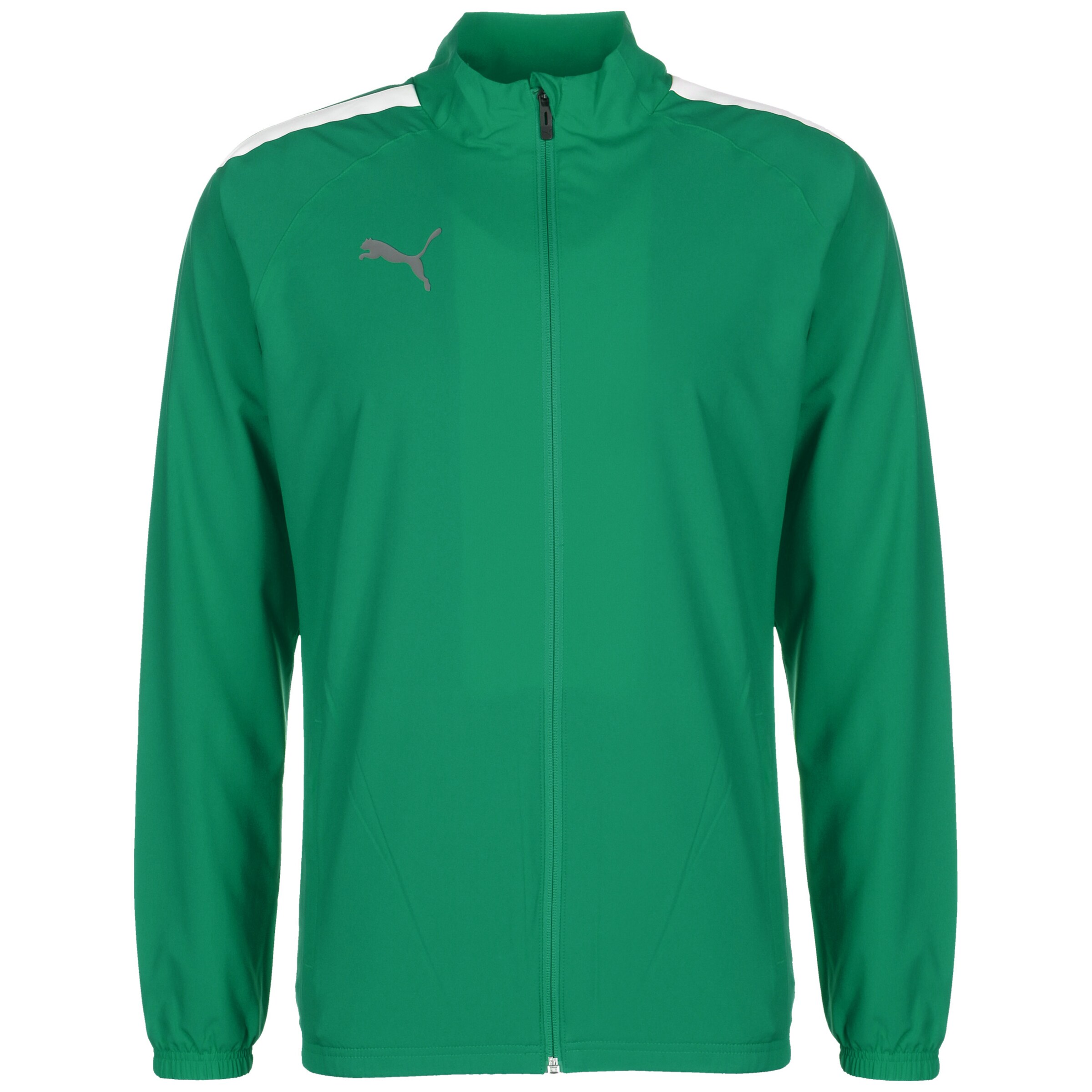 PUMA Trainingsjacke 'TeamLiga' in Grün: Vorderseite