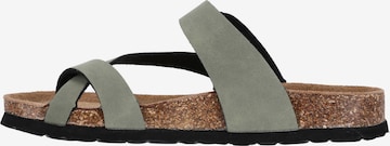 Cruz T-Bar Sandals 'HARDINBURG' in Green