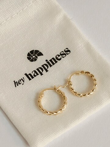 Hey Happiness Ohrring 'Braided'‌‌‌‌ in Gold