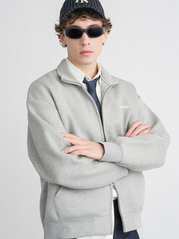 Carhartt WIP Свитшот 'Ald' в Серый