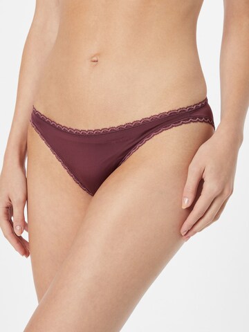 Calvin Klein Underwear Panty in Purple: front