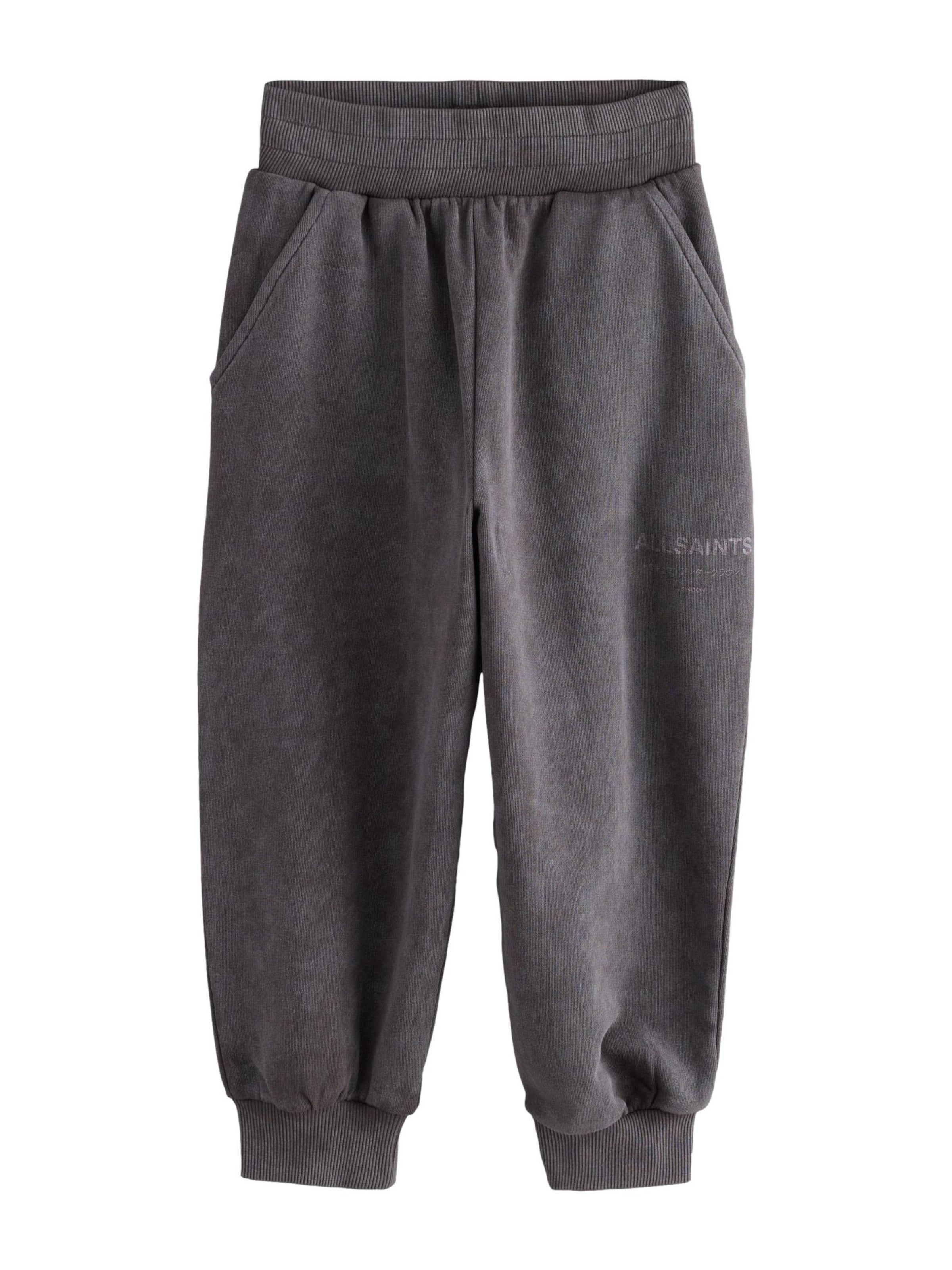 Brookland Tapered Pants in Grey: front