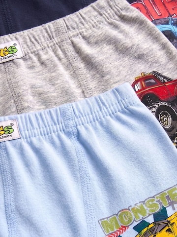 ÖTS Alsónadrág 'ÖTS Herren Boxerbriefs' - vegyes színek
