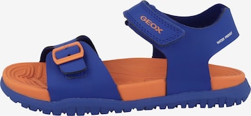 GEOX Sandale in Blau