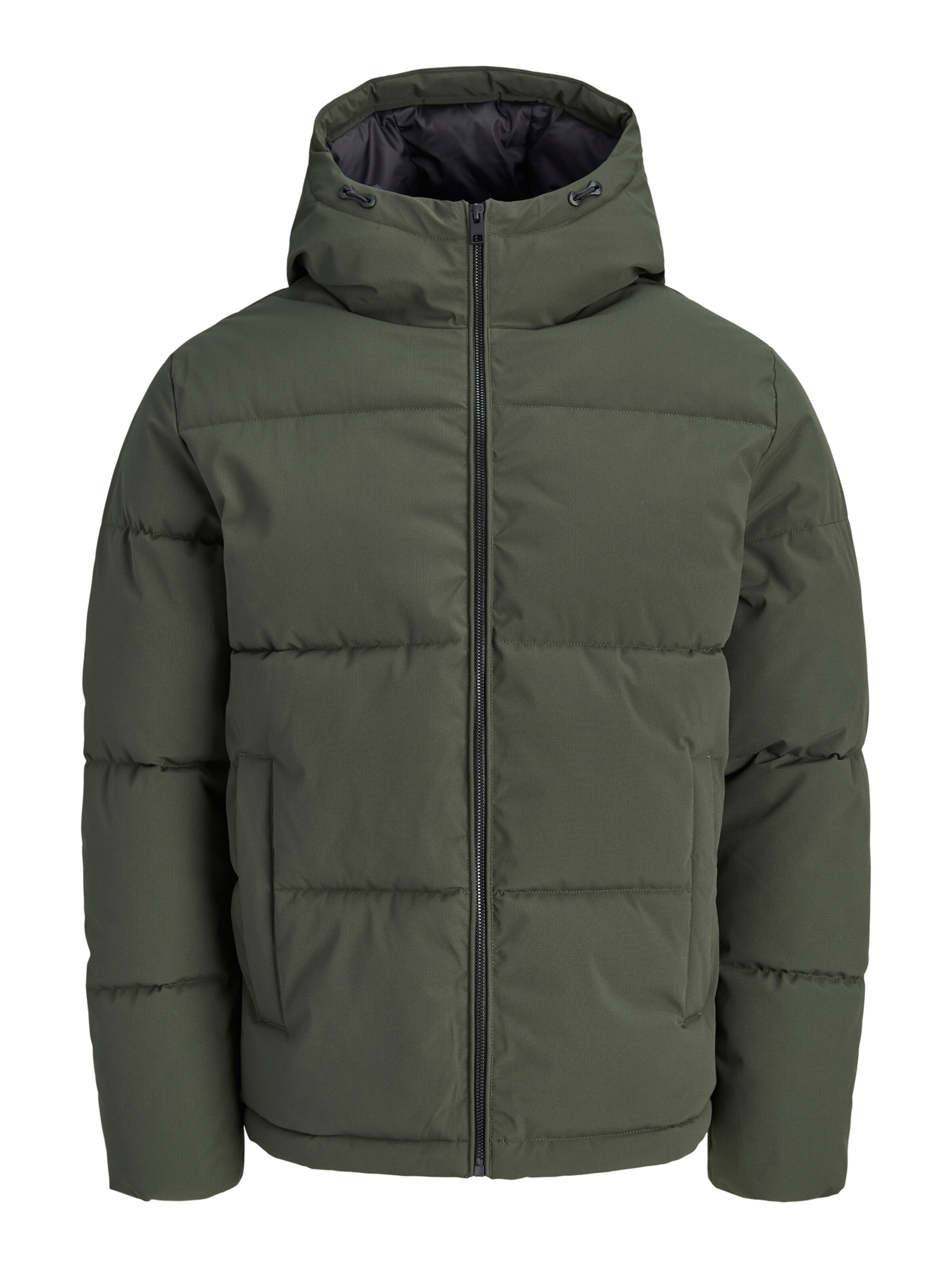 Geacă de iarnă 'JJGALAXY' de la Jack & Jones Plus pe verde: față