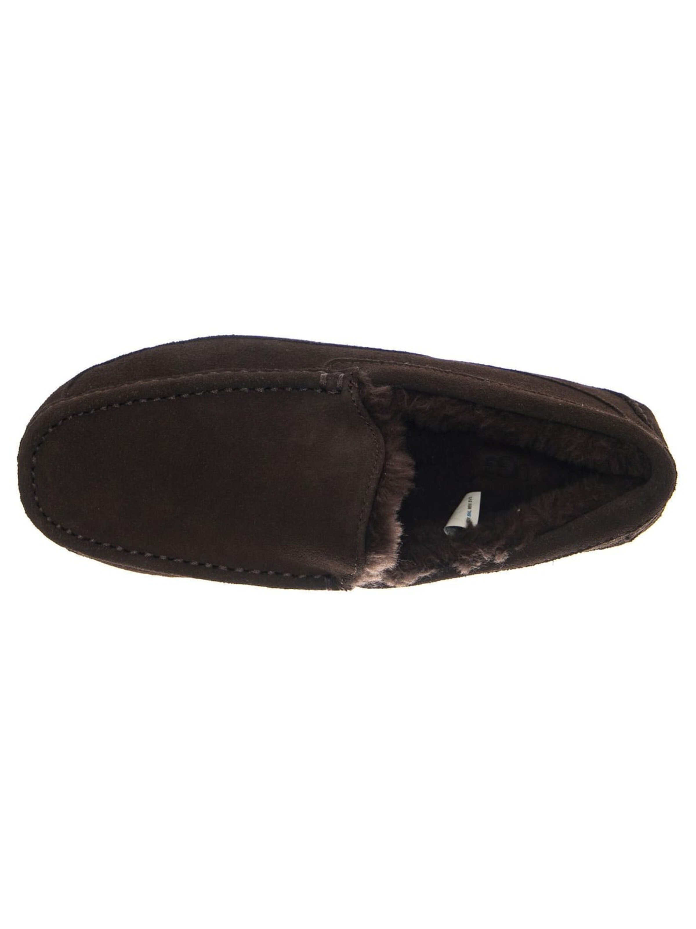 UGG Mocassins 'M Ascot Dusted Cocoa' in Bruin