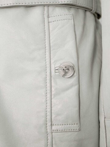 Mauritius - Chaqueta de entretiempo 'MWLeoniz' en gris