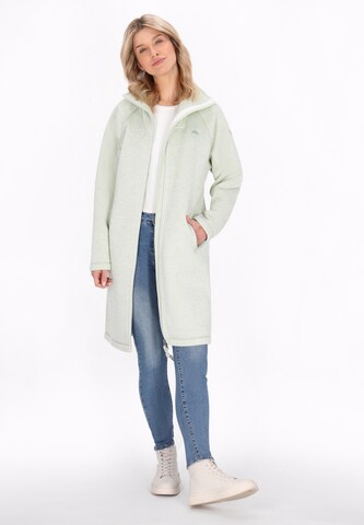 Veste en polaire Schmuddelwedda en vert