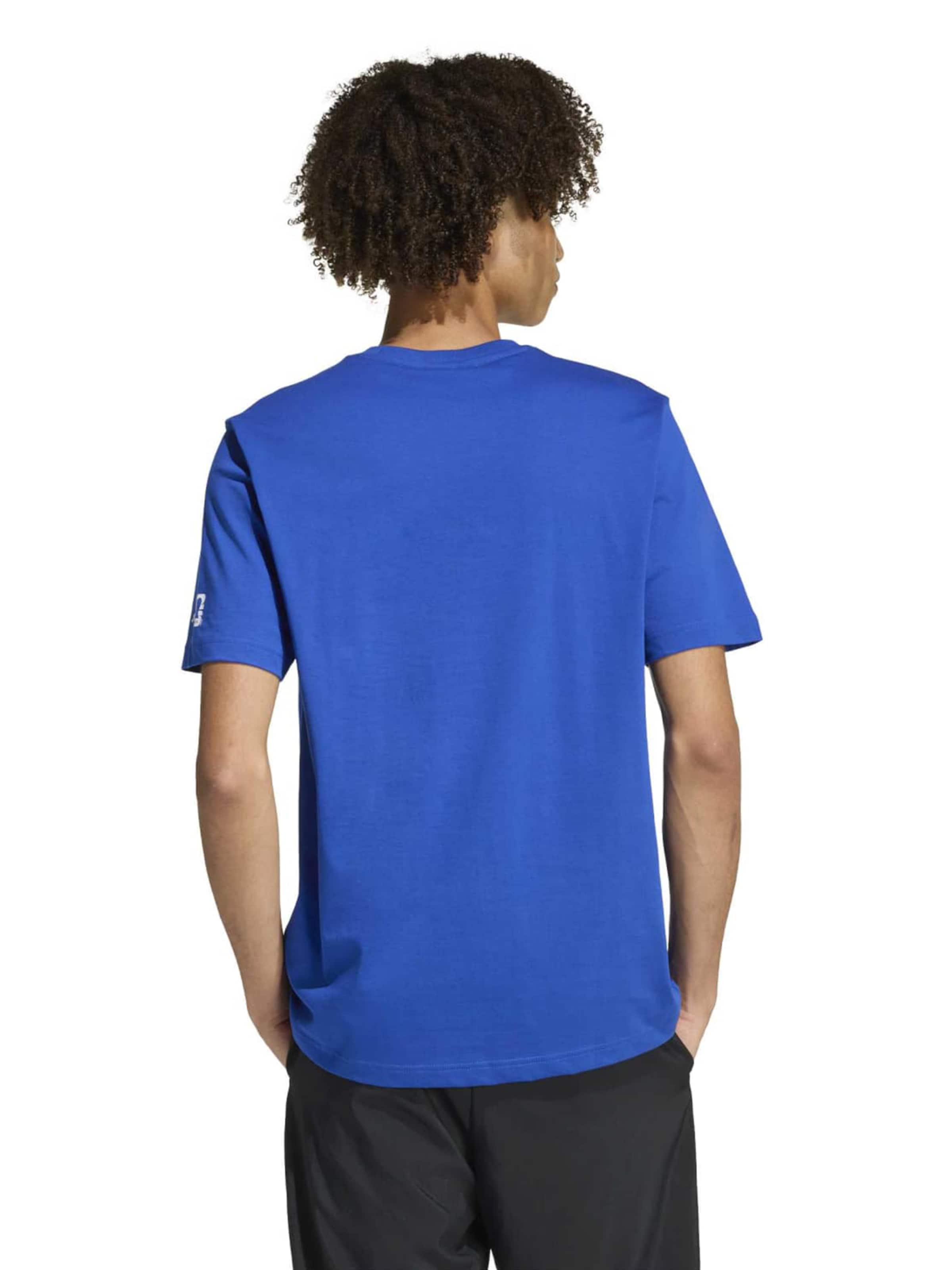 ADIDAS SPORTSWEAR Funktsionaalne särk 'FTB WC BALL', värv sinine