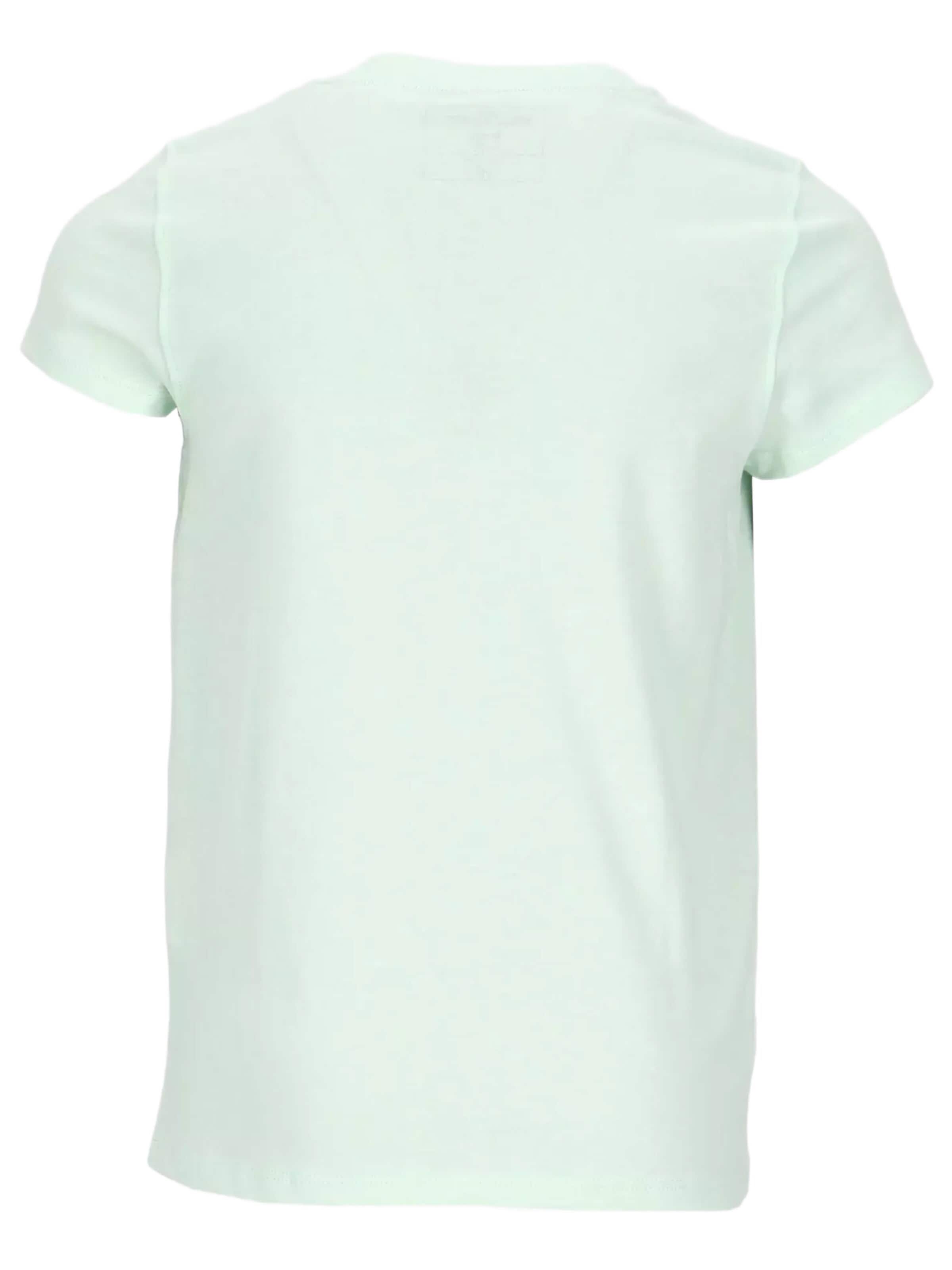 Denim Factory Shirt 'San Diego' in Groen: voorkant