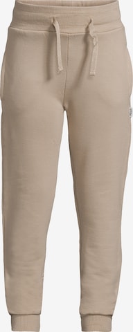 New Life Pants in Brown: front