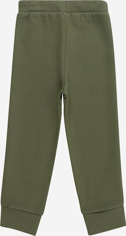 Tapered Pantaloni di GAP in verde