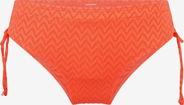 LingaDore Bikini bottom in Orange: front