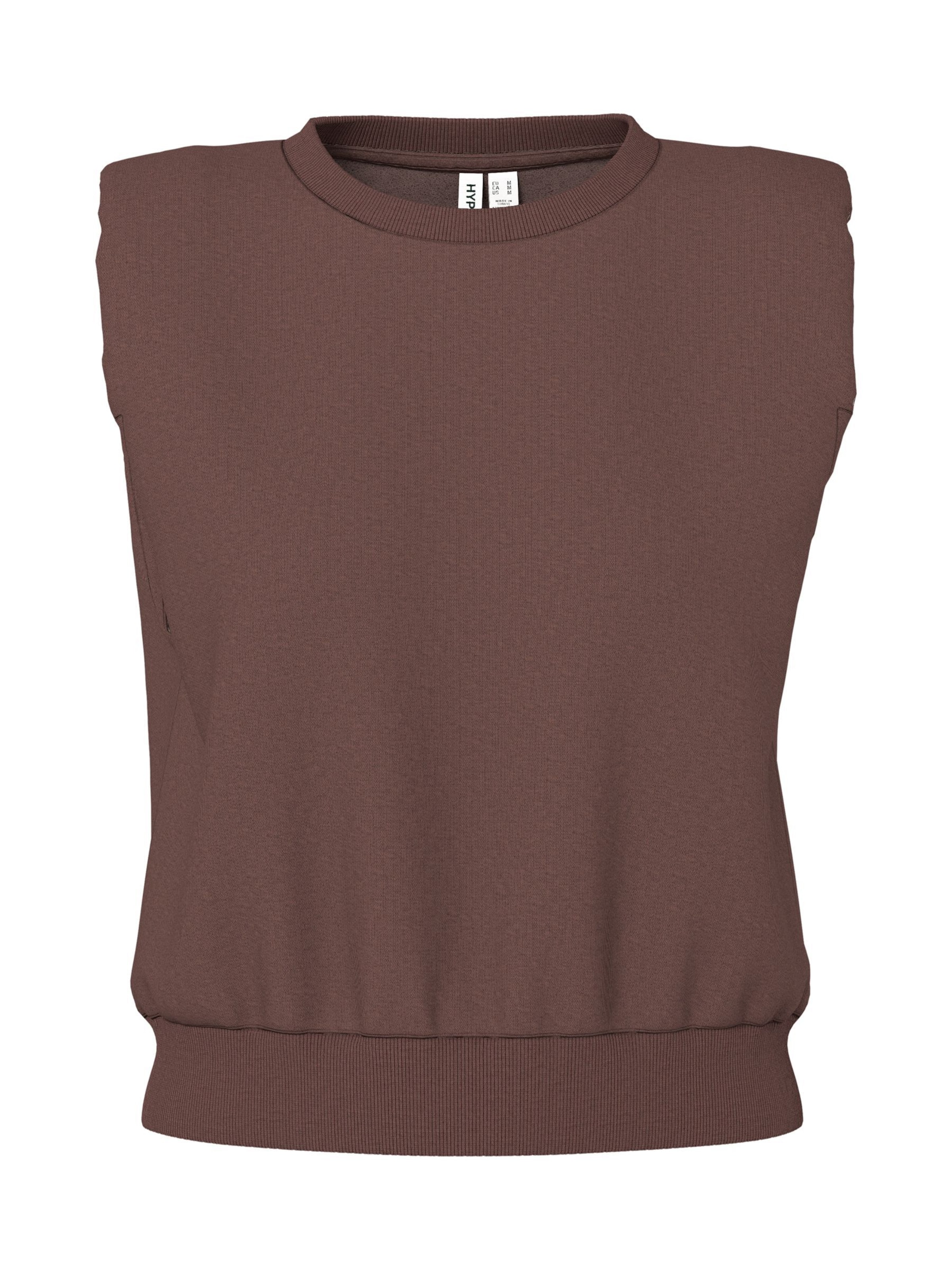 HYPEDROP Sweatshirt 'HDIsolde' in Brown: front