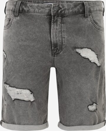 Only & Sons Big & Tall Regular Shorts 'PLY' in Grau: predná strana