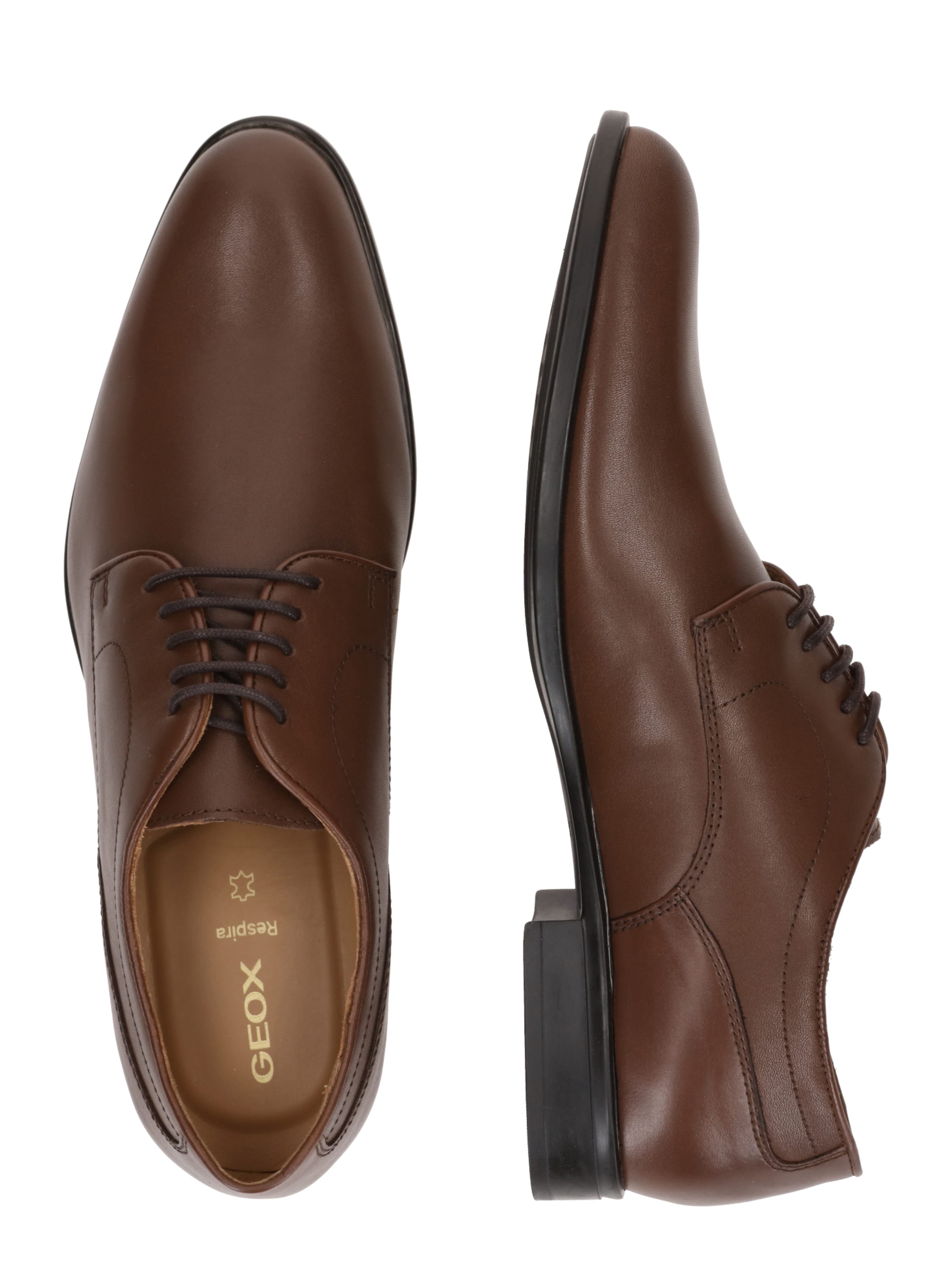 GEOX Buty sznurowane 'IACOPO' w kolorze brązowy