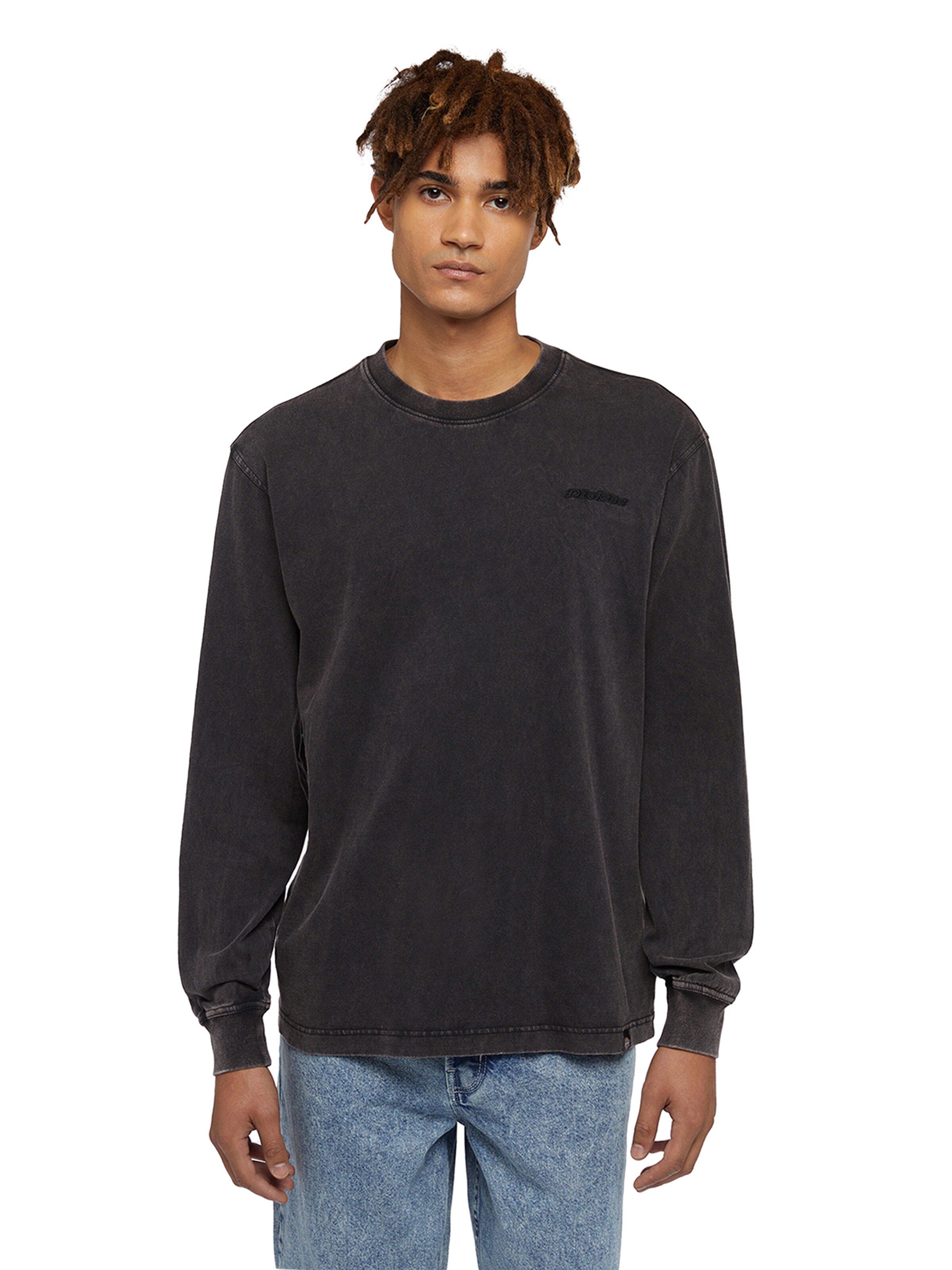 DICKIES Tričko – šedá: přední strana