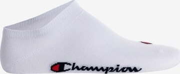 Champion Authentic Athletic Apparel Socks in White: front