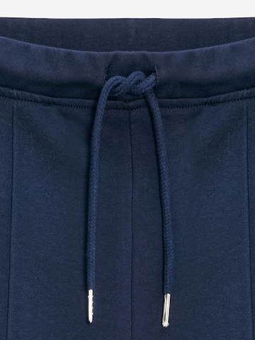 Dilvin Flared Pants 'Hose' in Blue