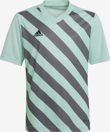 ADIDAS PERFORMANCE Trikot 'Entrada 22' in Blau: predná strana