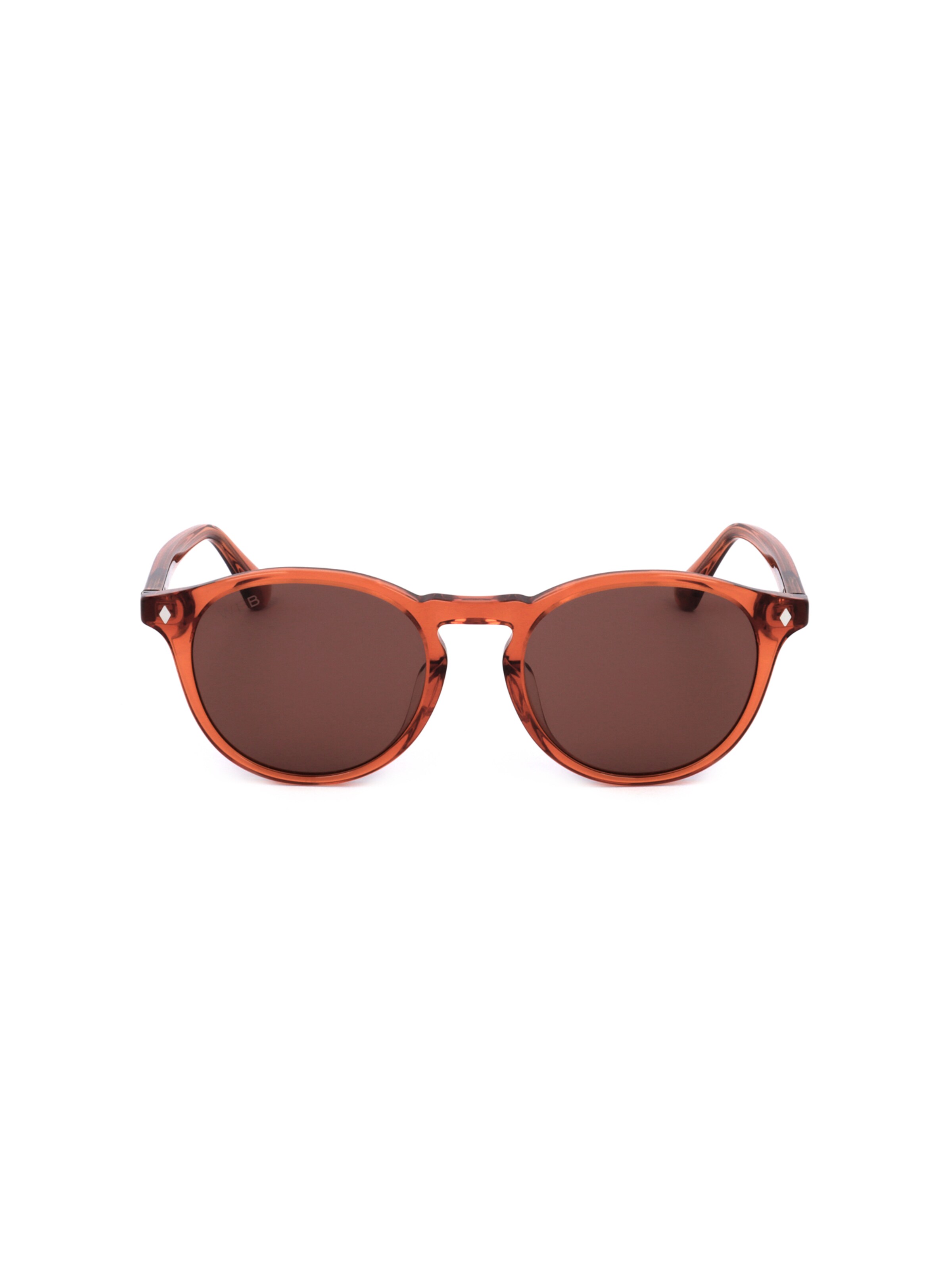 Occhiali da sole 'WE0328' di Web Eyewear in marrone