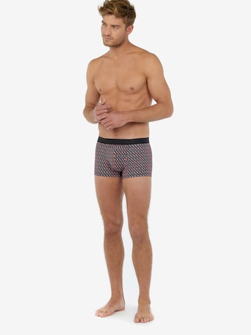 HOM Boxershorts in Mischfarben