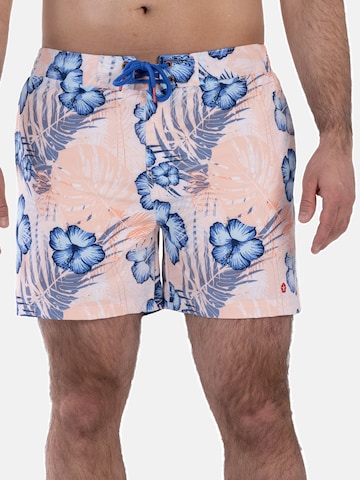 Shorts de bain Frozen Cape en mélange de couleurs : devant