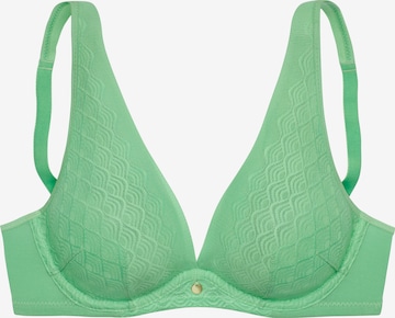 LASCANA Bra in Green: front