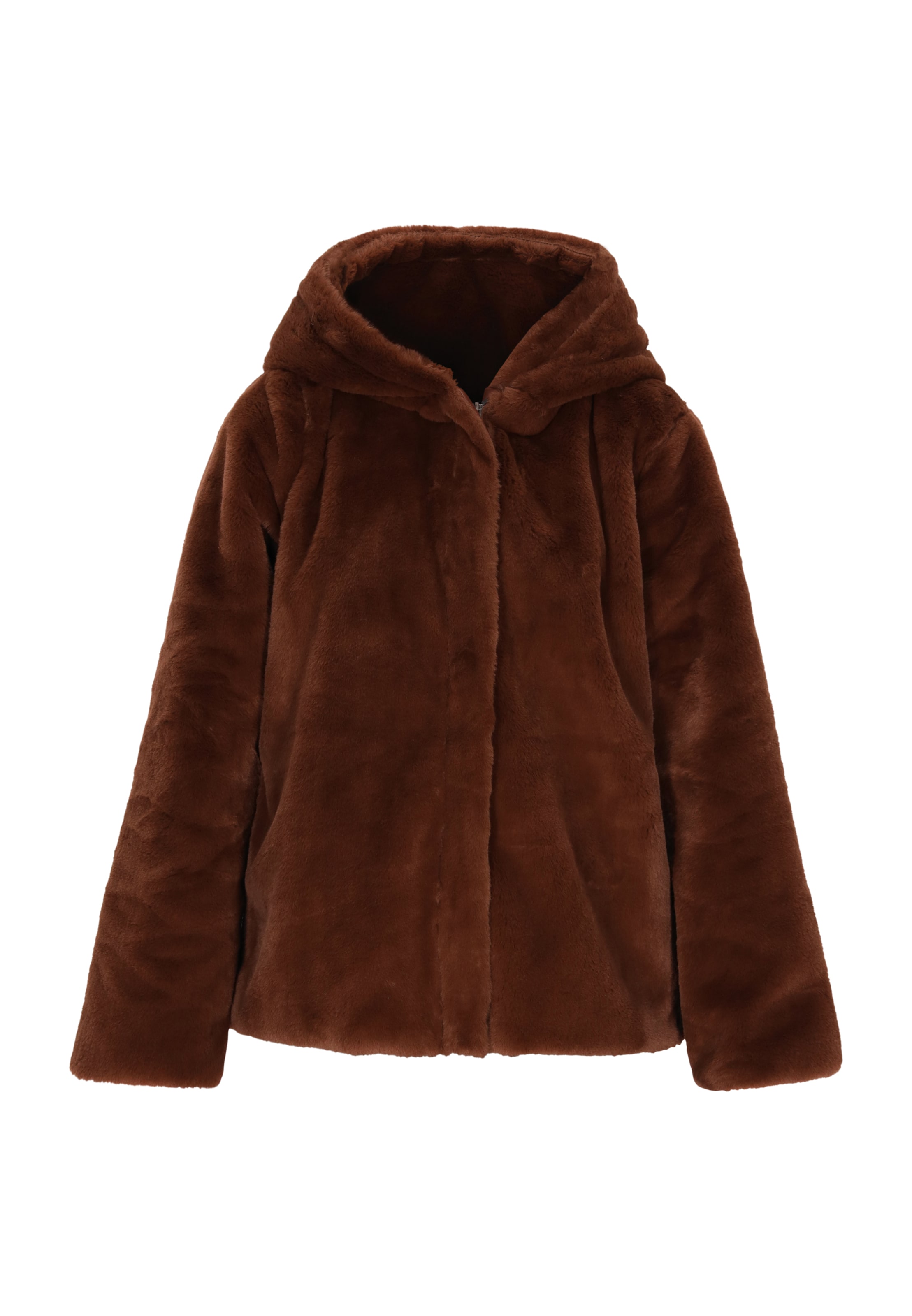 DreiMaster Vintage Демисезонная куртка в Коричневый: спереди