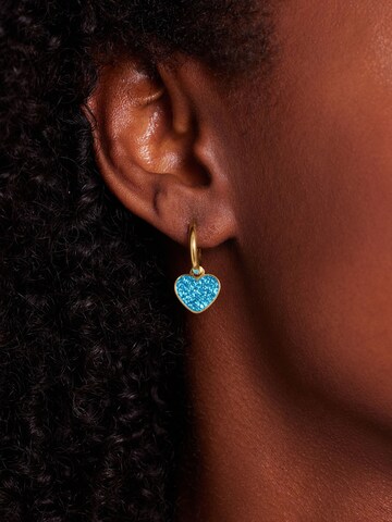 Boucles d'oreilles Lucardi en or : devant