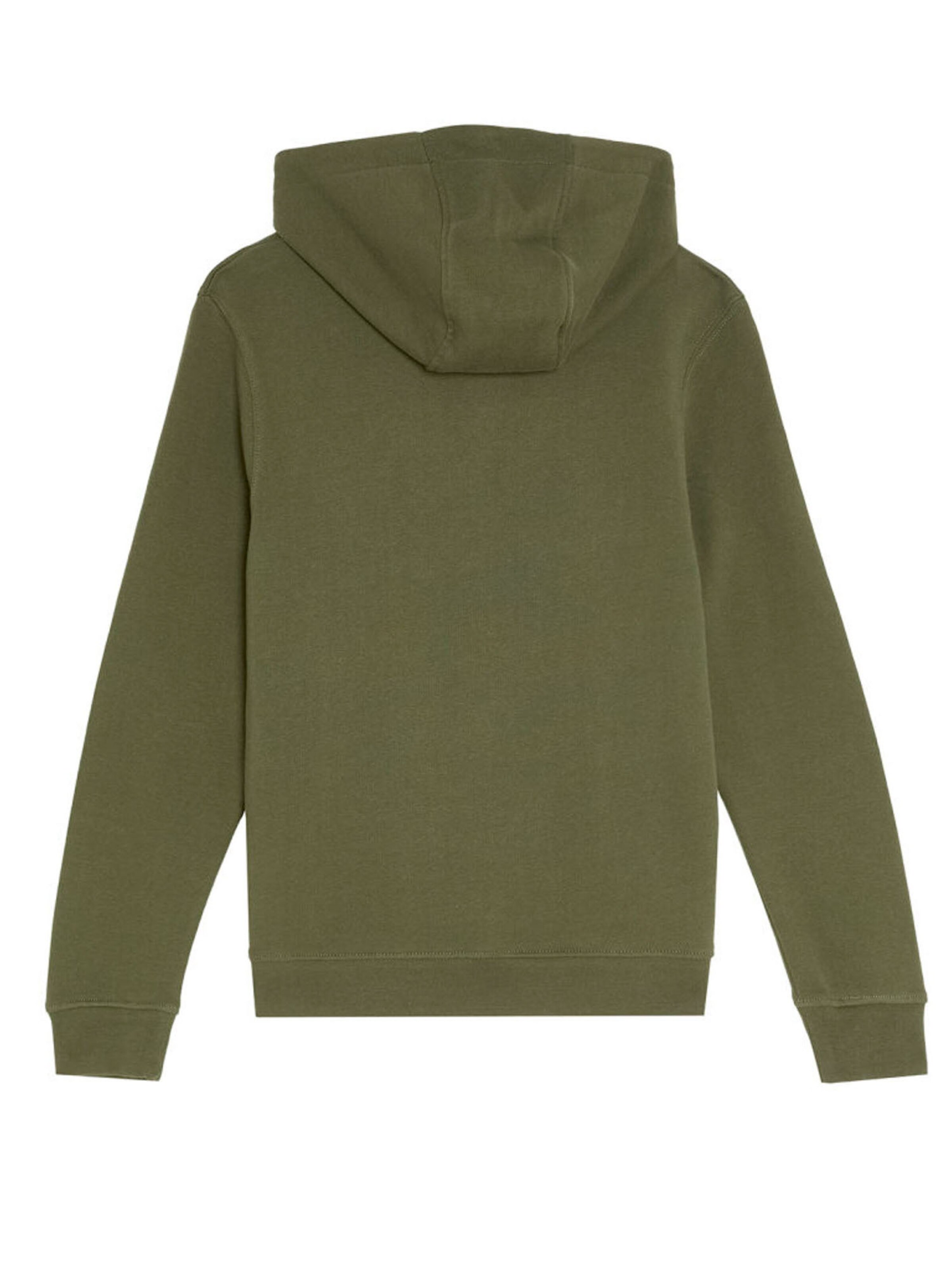 Lyle & Scott Sweatshirt in Groen