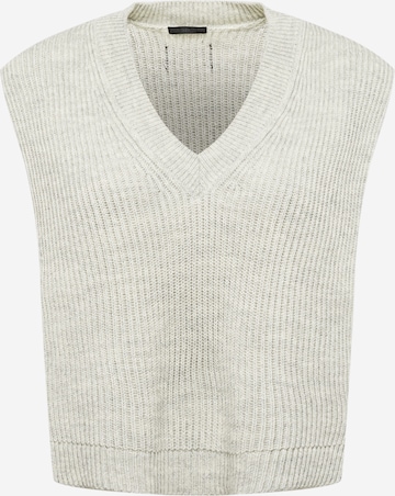 DRYKORN Sweater 'NIAM' in Grey: front