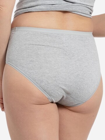 SPEIDEL Panty 'bio.cotton Plus' in Grey