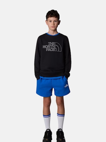 THE NORTH FACE - Sudadera 'DREW PEAK' en negro