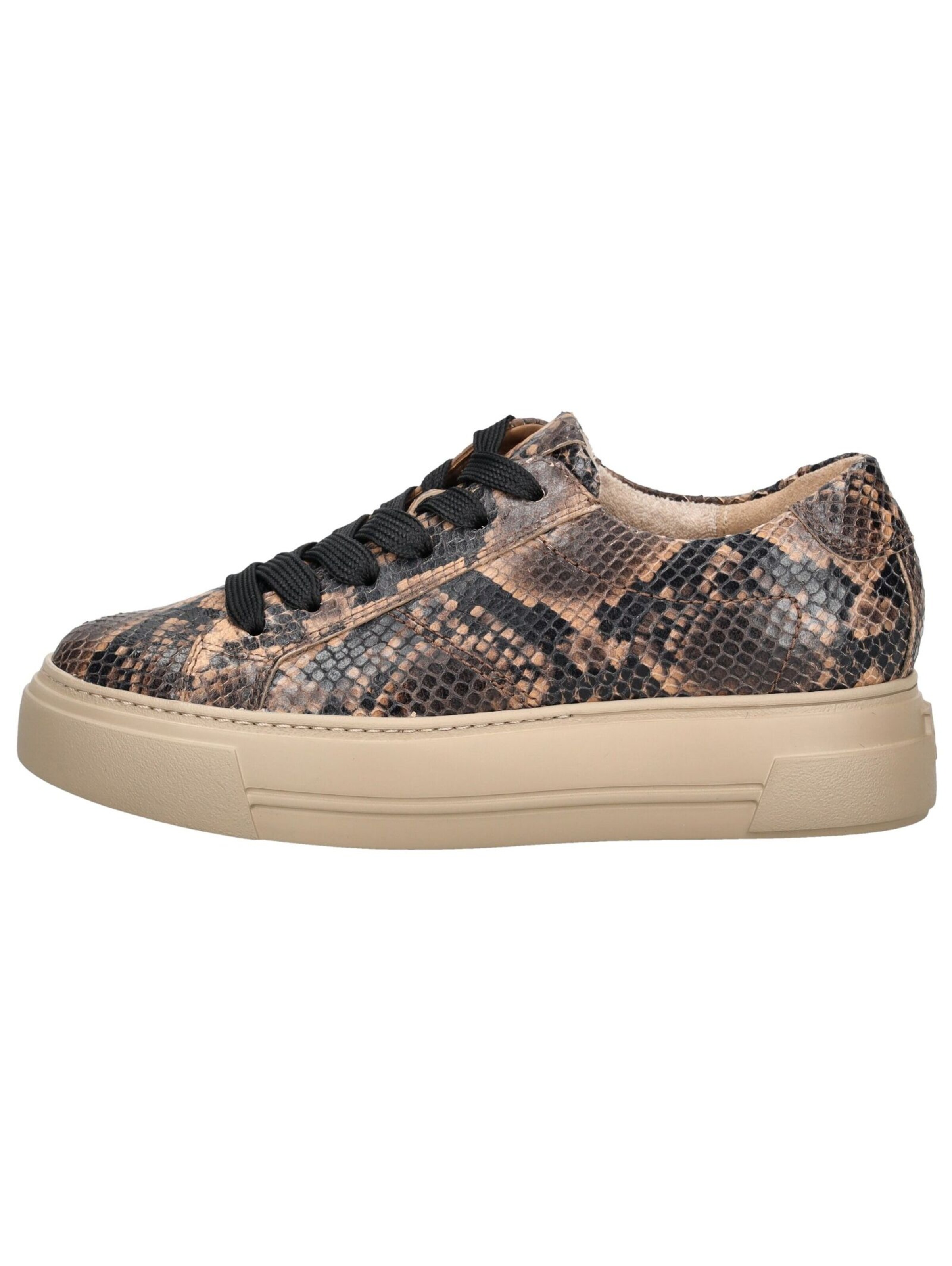 Paul Green Sneakers in Brown