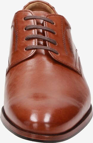 SIOUX Lace-Up Shoes ' Nathaniel ' in Brown