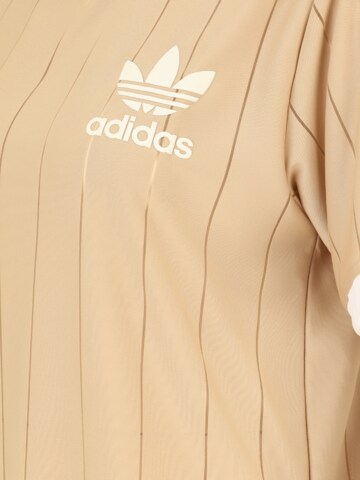 ADIDAS ORIGINALS Shirt 'Adicolor' in Beige