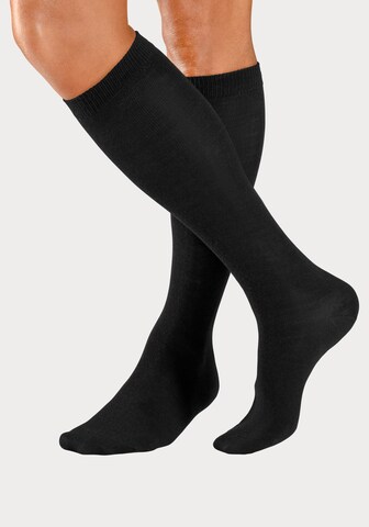 BENCH Kniestrümpfe in Schwarz