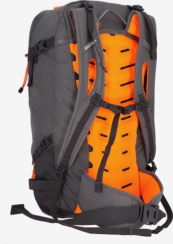 SALEWA Sports Backpack in Grey