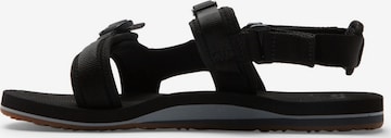 QUIKSILVER Sandalen 'Monkey Caged' in Zwart: voorkant